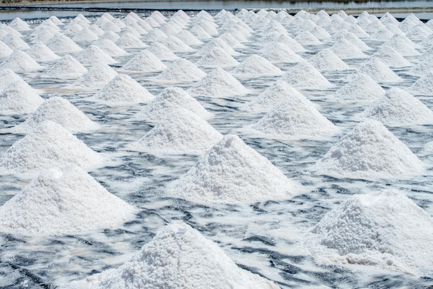 Salt at old style Central Thai scenes of salt farms in Bang Tabun,Phetchaburi Province, Thailand