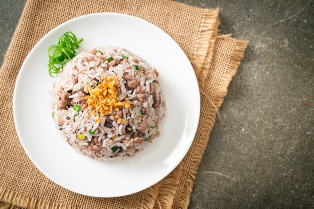 Salted Chinese Black Olive Fried Rice with Minced Pork - Asian food style