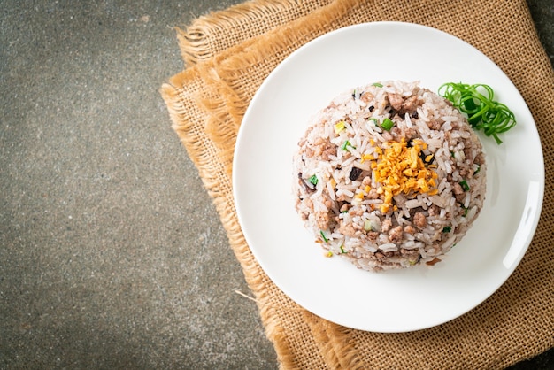 Salted Chinese Black Olive Fried Rice with Minced Pork - Asian food style