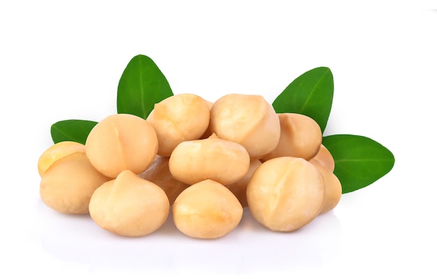 Salted macadamia nuts isolated on white.