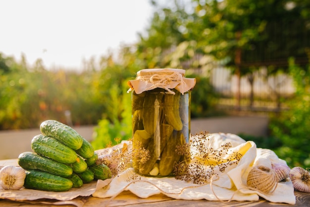 Salted pickled cucumbers in a jar on a wooden table in the garden Cucumbers herbs dill garlic Preservation conservation Background copy space Sunny bright day