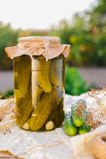 Salted pickled cucumbers in a jar on a wooden table in the garden Cucumbers herbs dill garlic Preservation conservation Background copy space Sunny bright day