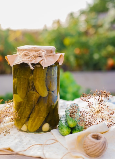 Salted pickled cucumbers in a jar on a wooden table in the garden Cucumbers herbs dill garlic Preservation conservation Background copy space Sunny bright day