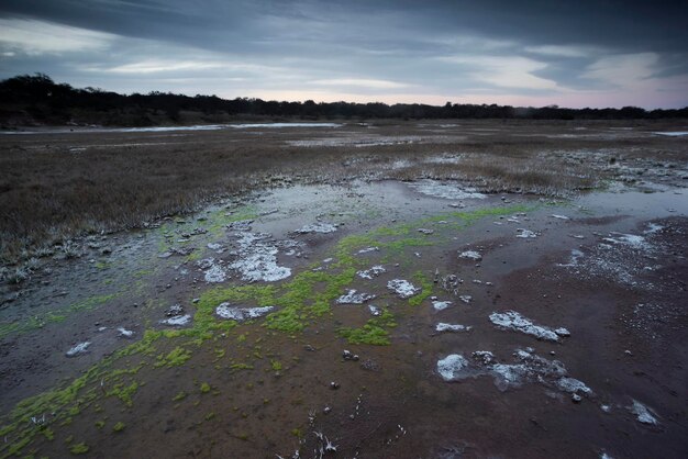 Saltpeter on the floor of a lagoon in a semi desert environment La Pampa province Patagonia Argentina