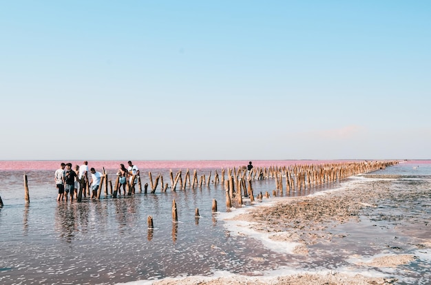 Salty pink lake wooden poles stick out above surface of water