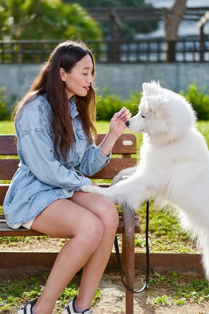 Samoyed dog with her female owner at the park playing together