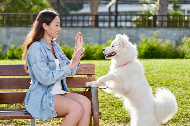 Samoyed dog with her female owner at the park playing together