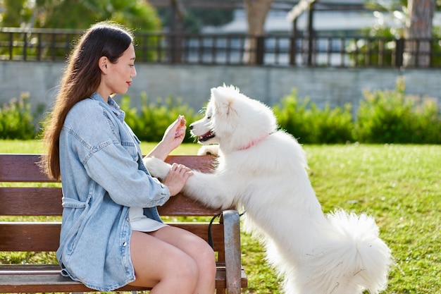 Samoyed dog with her female owner at the park playing together