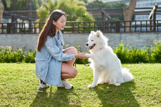 Samoyed dog with her female owner at the park playing together