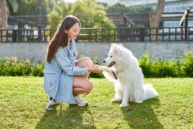 Samoyed dog with her female owner at the park playing together