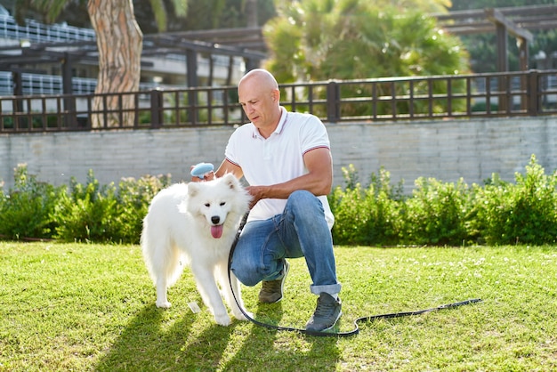 Samoyed dog with her man owner at the park playing together