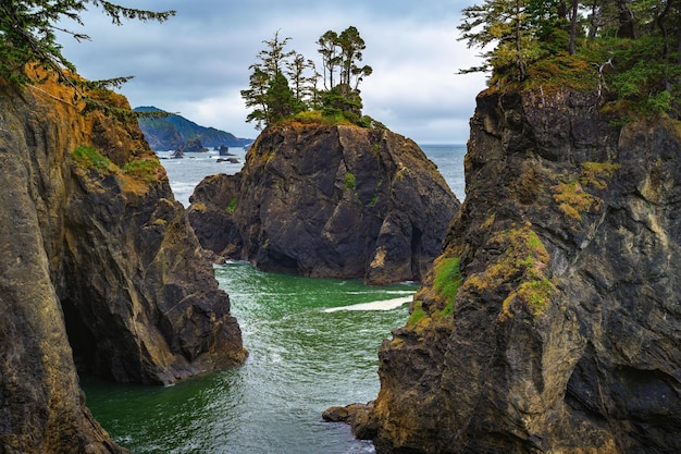 Samuel h boardman state scenic corridor in oregon usa