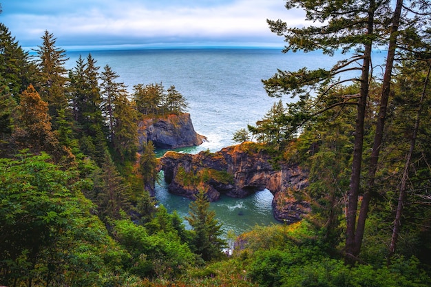 Samuel h boardman state scenic corridor in oregon usa