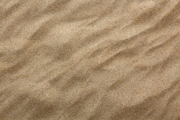 The sand background. Flat lay top view.