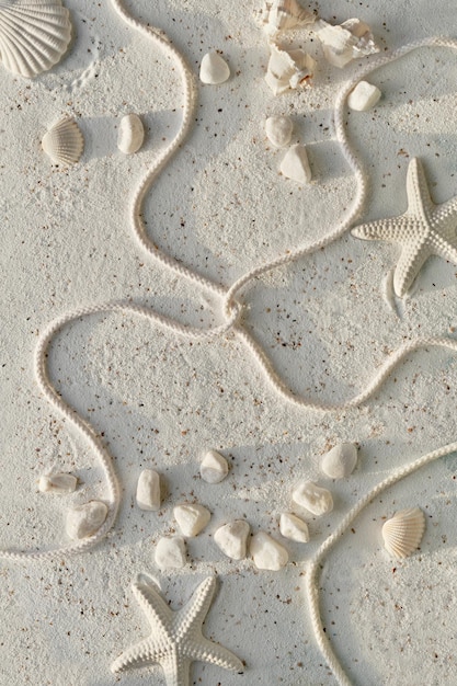 Sand background with seashells starfish cord and pebbles Off white stones textured sand surface