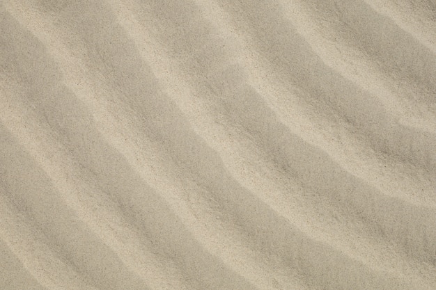 Sand on the beach background closeup sand texture