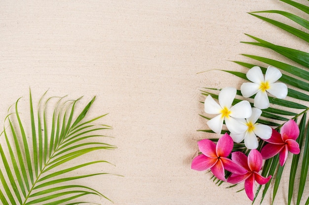 Sand Beach background with frangipani flowers.