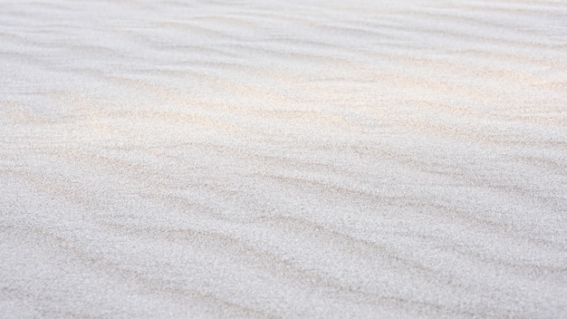 sand beach texture background on summer season