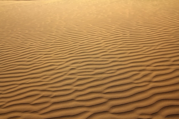 Sand in desert