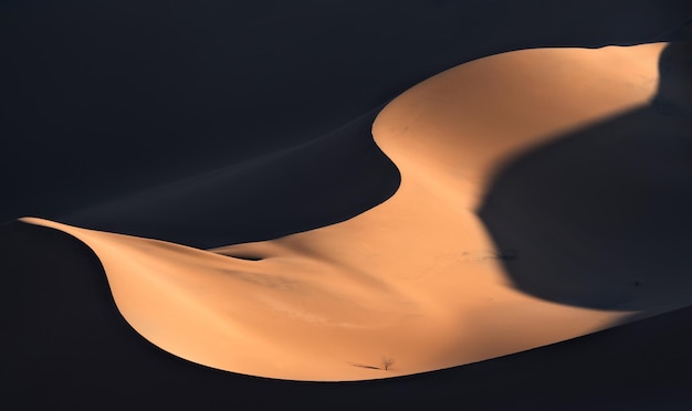 Sand dune in desert