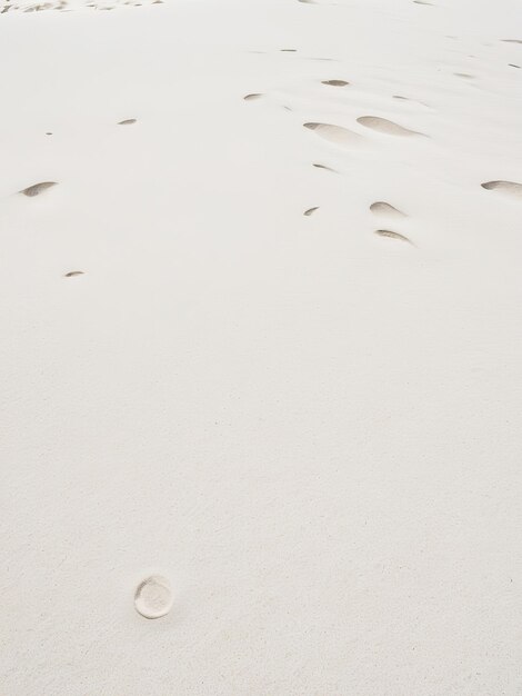 Photo a sand dune with footprints in it and a few tracks in the sand