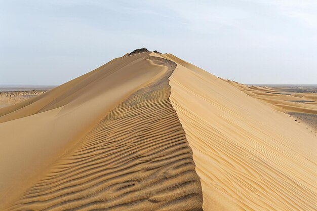 a sand dune with a sand dune in the background