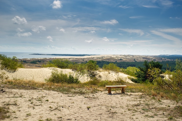 Sand dunes on the Curonian spit near the town of Nida. Klaipeda, Lithuania