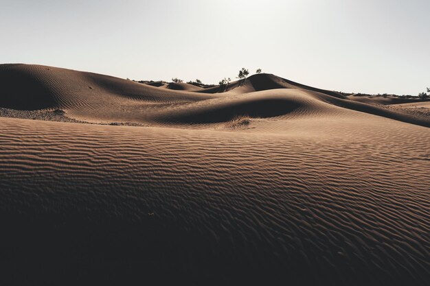 Photo sand dunes in desert against clear sky