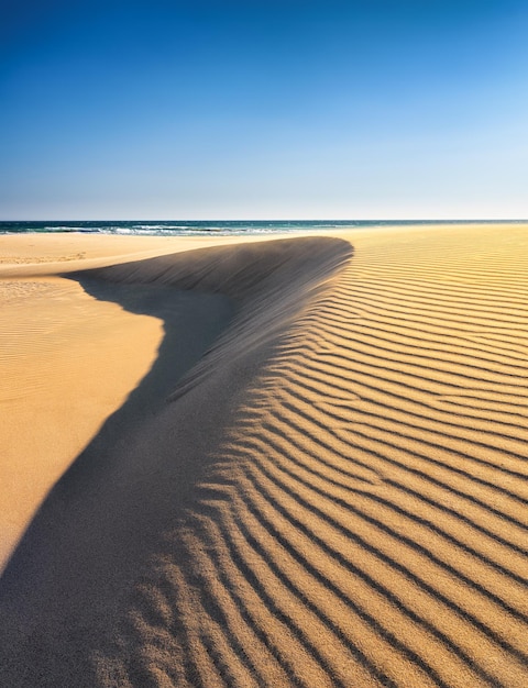 Sand dunes in the desert Landscape in the daytime Lines in the sand Dunes and sky Summer landscape in the desert Hot weather