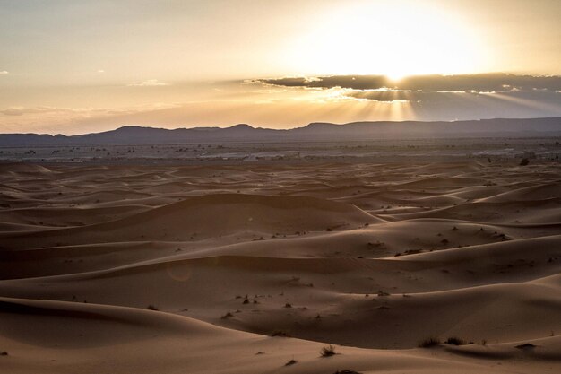 Sand dunes in desert at sunrise