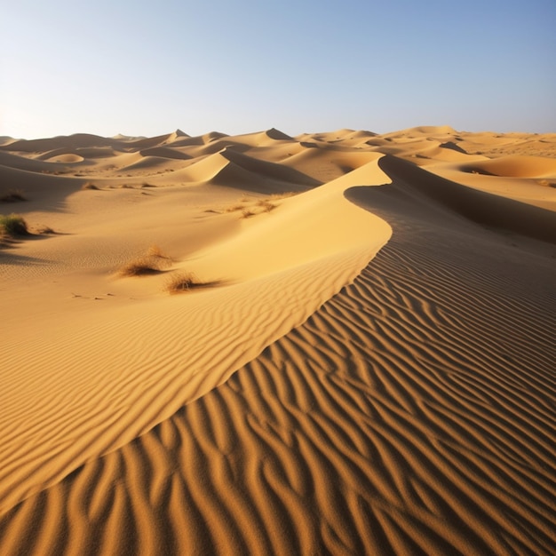 Sand dunes in the desert with the sun setting