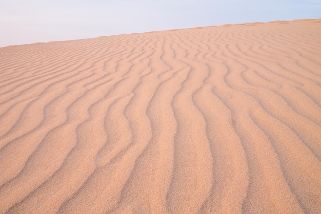 Sand dunes in desert