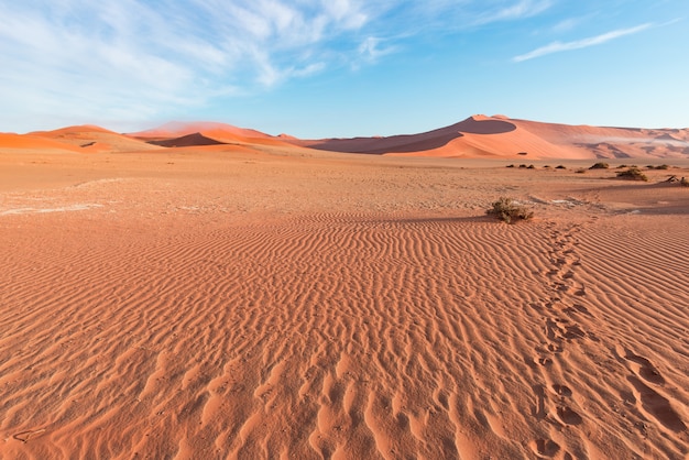 Sand dunes in the Namib desert at dawn, roadtrip in the wonderful Namib Naukluft National Park, travel destination.