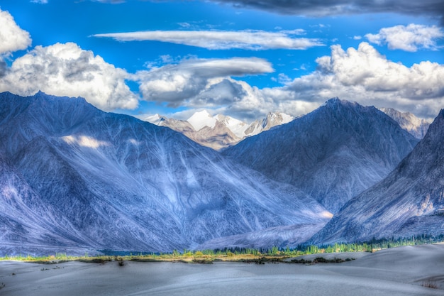 Sand dunes. Nubra valley, Ladakh, India