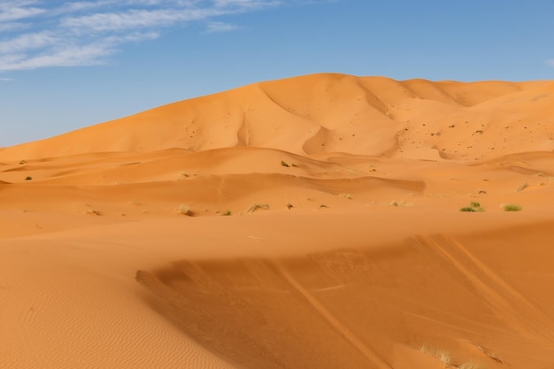 sand dunes in the sahara desert. Erg Chebbi Morocco