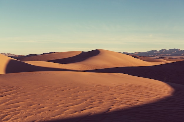 Sand dunes in the Sahara desert