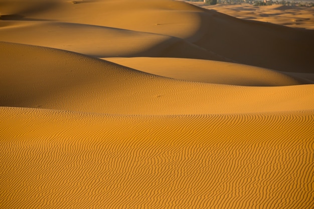 Sand dunes in Sahara desert