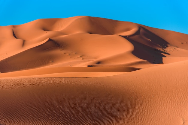 Sand dunes in the Sahara Desert