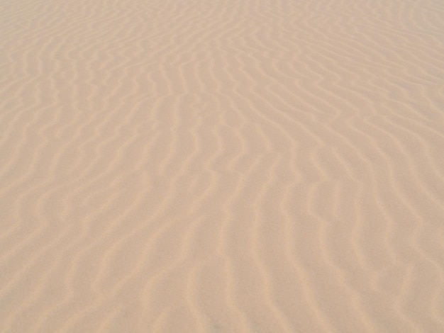 Sand Scape