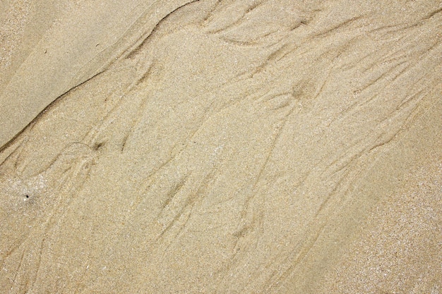 Sand texture background on the beach