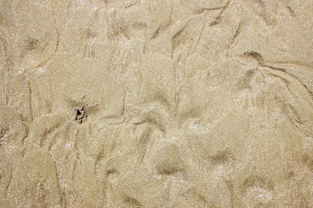 Sand texture background on the beach