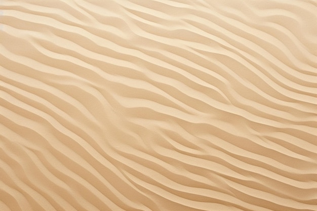 sand texture background and copy space