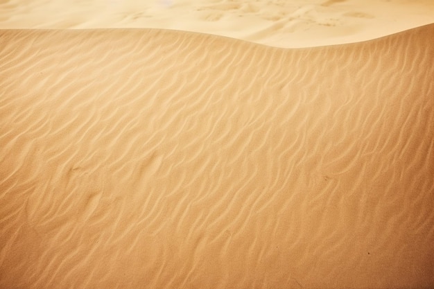 sand texture background and copy space