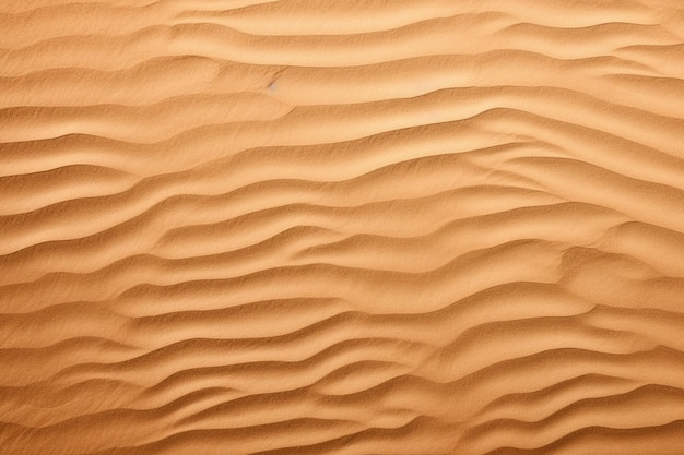 sand texture background and copy space