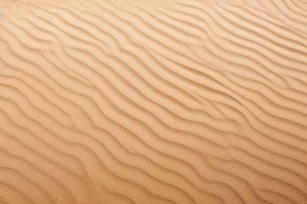 sand texture background and copy space