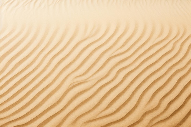 sand texture background and copy space