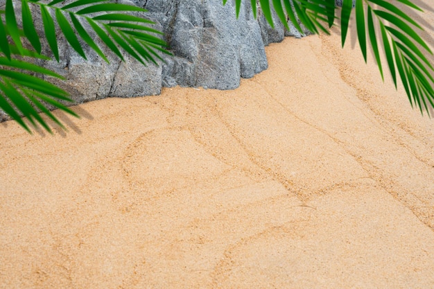 Sand texture background Rock stone and blurry palm leaves frameTop view Tropical beach with blurred Coconut leaf on Brown SandBackdrop background Desert Sand dune for Summer Product Presentation