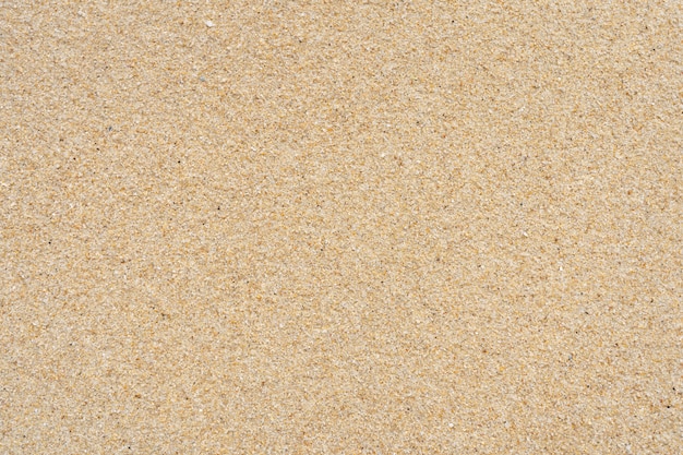 Sand texture on the beach. Crushed shells