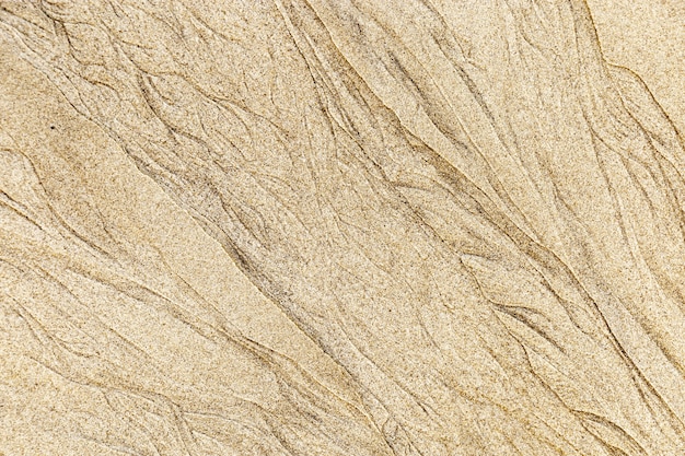 Sand texture. Natural sand on beach.