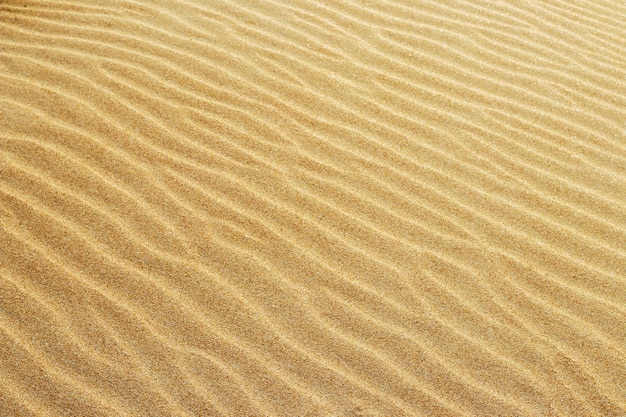 Sand texture Sandy beach for background Top view Natural sand stone texture background